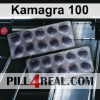 Kamagra 100 739
