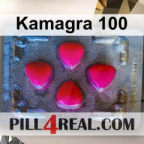 Kamagra 100 877
