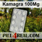 Kamagra 100Mg 096