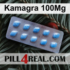 Kamagra 100Mg 249