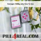 Kamagra 100Mg Jelly How To Use 052