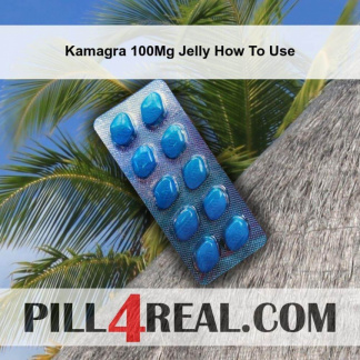 Kamagra 100Mg Jelly How To Use 120