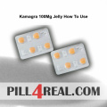 Kamagra 100Mg Jelly How To Use 205