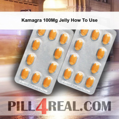 Kamagra 100Mg Jelly How To Use 262