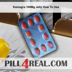 Kamagra 100Mg Jelly How To Use 423