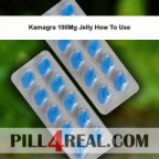 Kamagra 100Mg Jelly How To Use 693