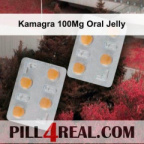 Kamagra 100Mg Oral Jelly 027