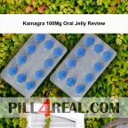 Kamagra 100Mg Oral Jelly Review 026