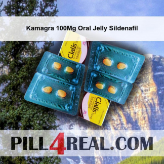 Kamagra 100Mg Oral Jelly Sildenafil 493