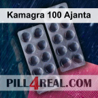 Kamagra 100 Ajanta 295