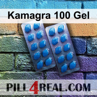Kamagra 100 Gel 480