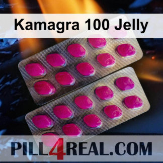 Kamagra 100 Jelly 256