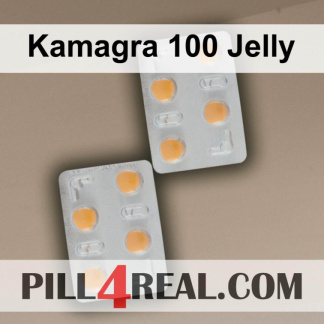 Kamagra 100 Jelly 291