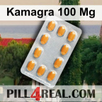 Kamagra 100 Mg 292