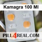 Kamagra 100 Ml 390