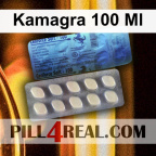 Kamagra 100 Ml 704