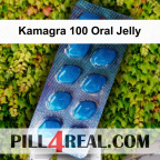 Kamagra 100 Oral Jelly 008