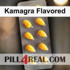 Kamagra Flavored 448