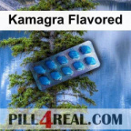 Kamagra Flavored 591