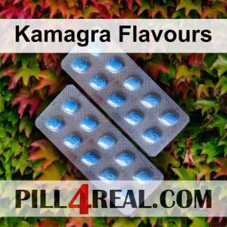 Kamagra Flavours 480