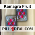 Kamagra Fruit 409
