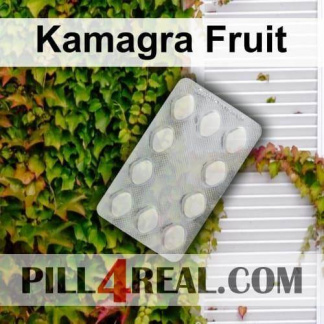 Kamagra Fruit 475