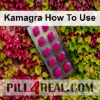 Kamagra How To Use 131