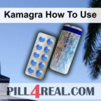 Kamagra How To Use 579