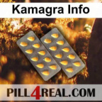 Kamagra Info 491