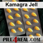 Kamagra Jell 501