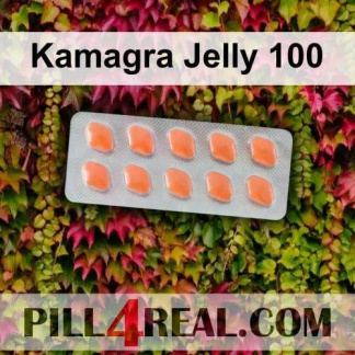 Kamagra Jelly 100 371
