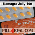 Kamagra Jelly 100 534