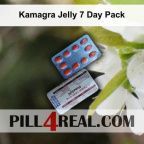 Kamagra Jelly 7 Day Pack 819