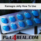 Kamagra Jelly How To Use 142