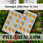 Kamagra Jelly How To Use 231