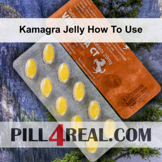 Kamagra Jelly How To Use 823