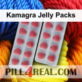 Kamagra Jelly Packs 068