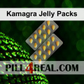 Kamagra Jelly Packs 255