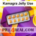 Kamagra Jelly Use 242