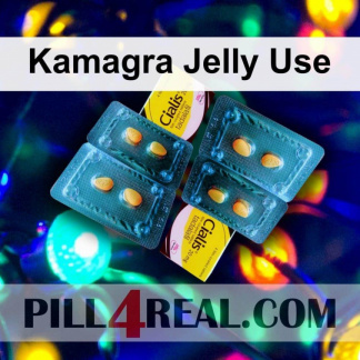 Kamagra Jelly Use 505