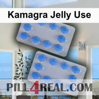 Kamagra Jelly Use 772