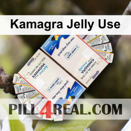Kamagra Jelly Use 931