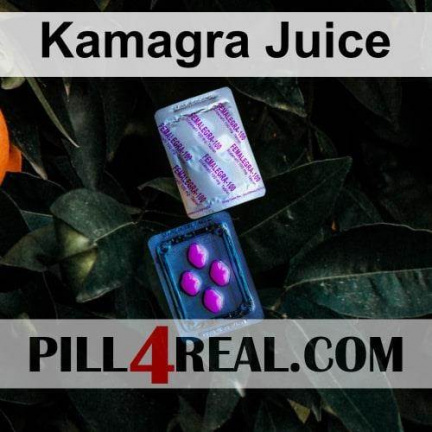 Kamagra Juice 304