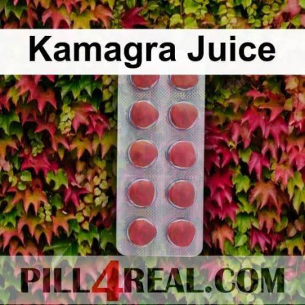 Kamagra Juice 919
