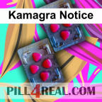 Kamagra Notice 491