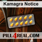 Kamagra Notice 530