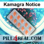 Kamagra Notice 564