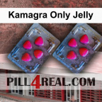 Kamagra Only Jelly 408
