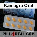 Kamagra Oral 240