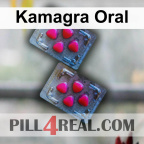 Kamagra Oral 254